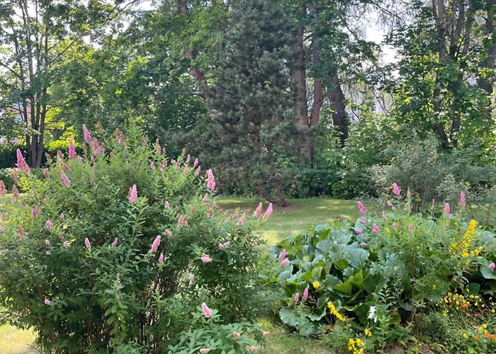 Appartement Linjuri *